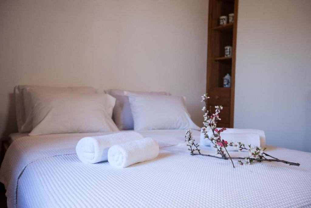 Eremia Rustic House - Entire Villa In Pelion Makrinitsa Luaran gambar